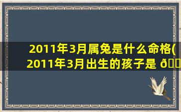 2011年3月属兔是什么命格(2011年3月出生的孩子是 🕷 什么命)